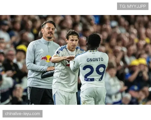 狼队伤病潮加剧主帅压力，球队状态回暖成关键转机