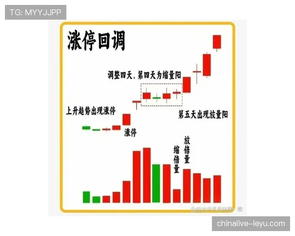 主力稳如泰山，替补深度不足问题逐步反映于比赛轮换中