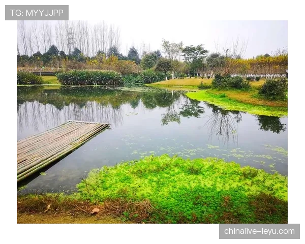 乌加特：从乌拉圭费尼克斯到欧洲的起点之路解析